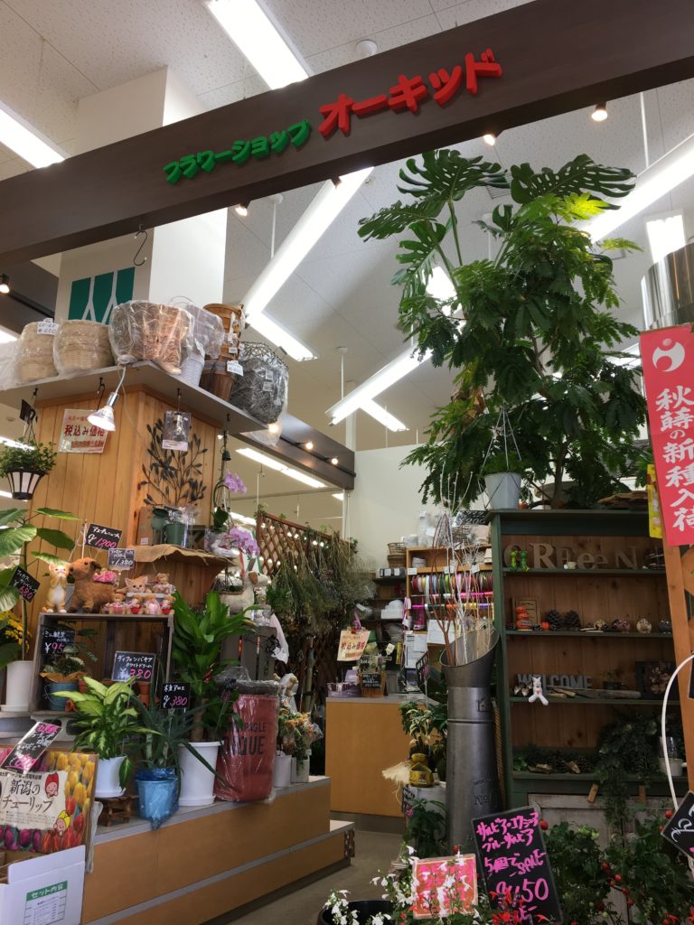 423555C5-EDB1-4E85-8183-